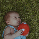 Pretend Play Food  Rattle - Red Mushroom