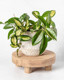 Round Reclaimed Wood Riser Stand | Made In USA: 4"