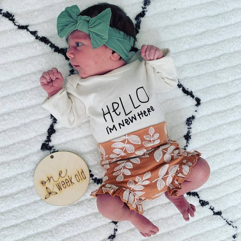 Hello Im New Here Organic Cotton Baby Bodysuit | Long Sleeve: 3-6m