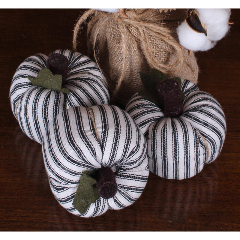 White Black Ticking Pumpkin