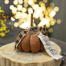 Thankful Brown Pumpkin