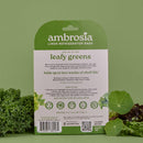 Reusable Linen Bag for Leafy Greens | Spring Kitchen