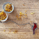 Cardinal Tea Infuser | Loose Tea Strainer | Mesh Ball