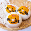 Orange Cat Eco Dryer Ball