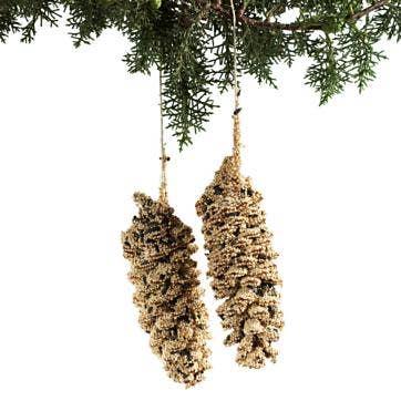 Pine Cone Pair