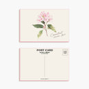 Connecticut Mountain Laurel - Single Sleeved Postcard
