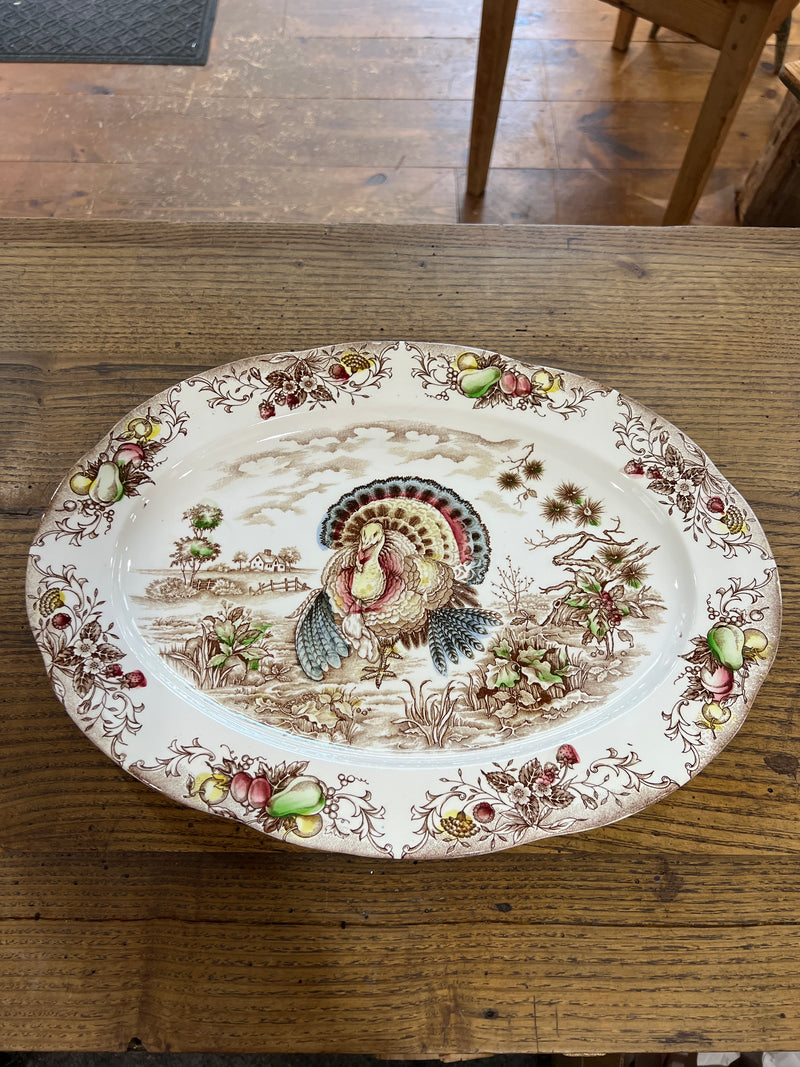 Vintage Hand Painted Transferware Oval Turkey Platter