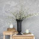 CREAM PUSSY WILLOW BRANCH