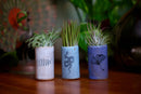 Tiny Tumblers - Horse: Mix of Glazes