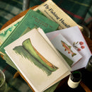 Emerald Canoe - Box of 6 Note Cards
