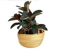 African Bolga Ghana Market Basket: Medium