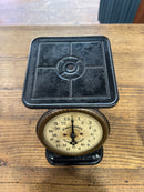 Antique Columbia 24LB Family Scale