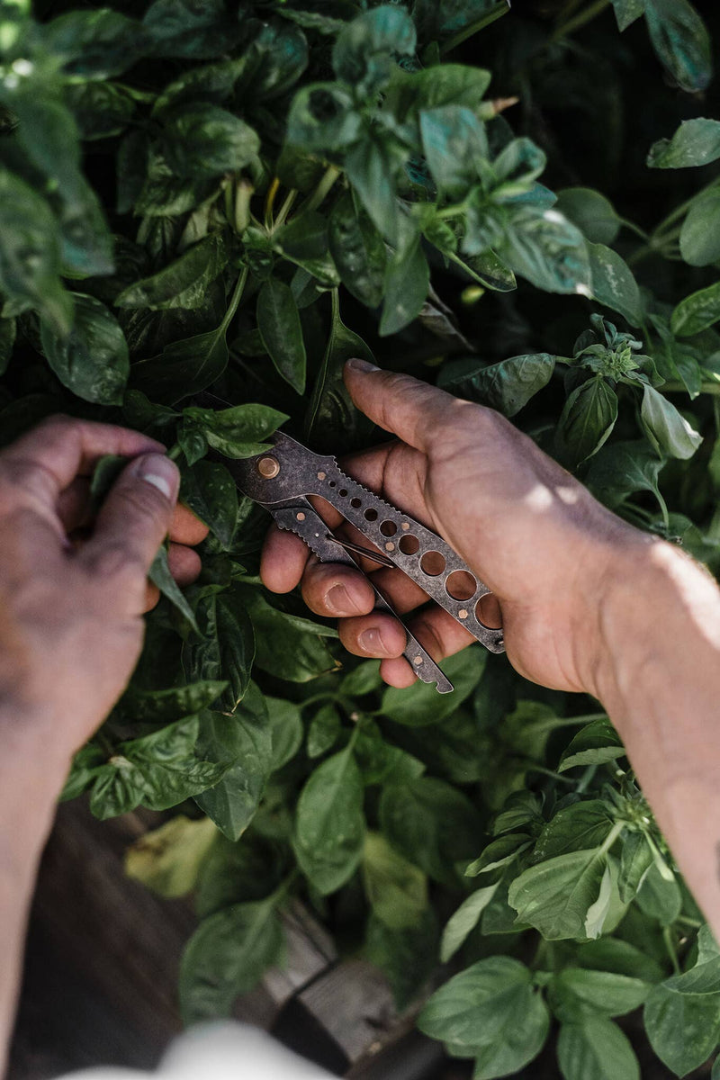 Herb Harvest + Strip Tool: Tumbled Steel