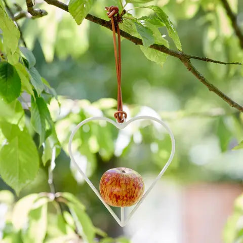 Apple Bird Feeder - Heart