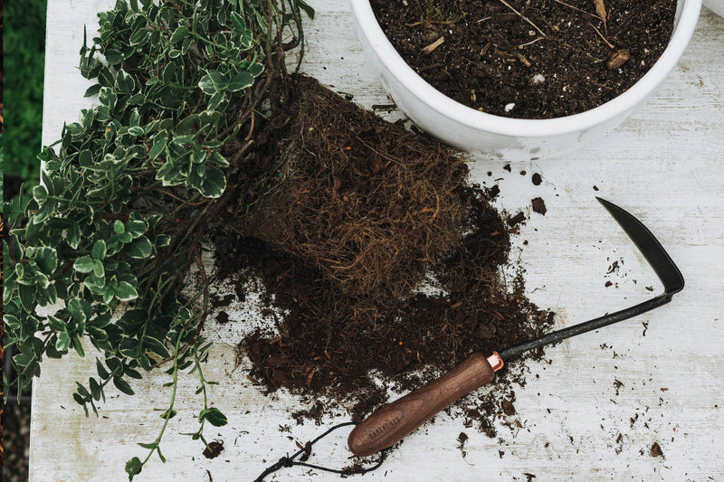 Japanese Weeding Hoe: Walnut/Black