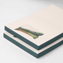 Emerald Canoe - Notepad