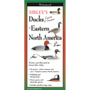 Sibley's Ducks, Geese,& Swans of Eastern N.A.