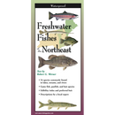 Freshwater Fishes of Northeast