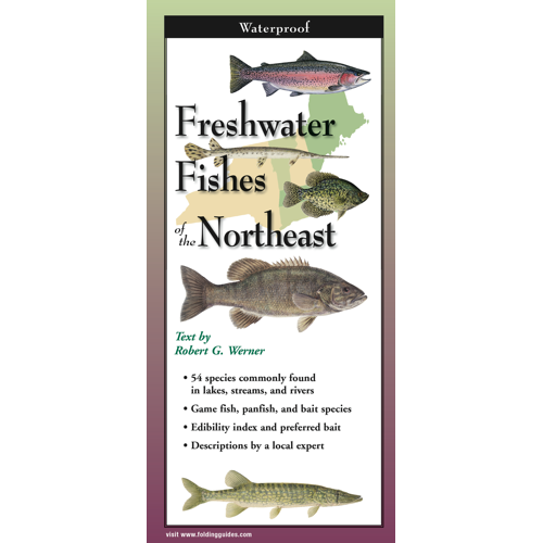 Freshwater Fishes of Northeast