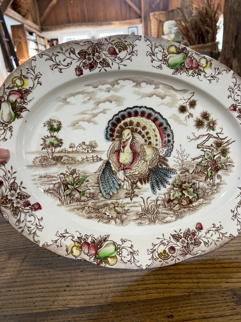 Vintage Hand Painted Transferware Oval Turkey Platter