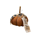 Thankful Brown Pumpkin