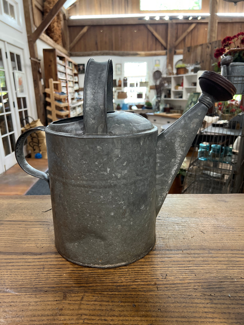 Vintage Galvanized Double Handled