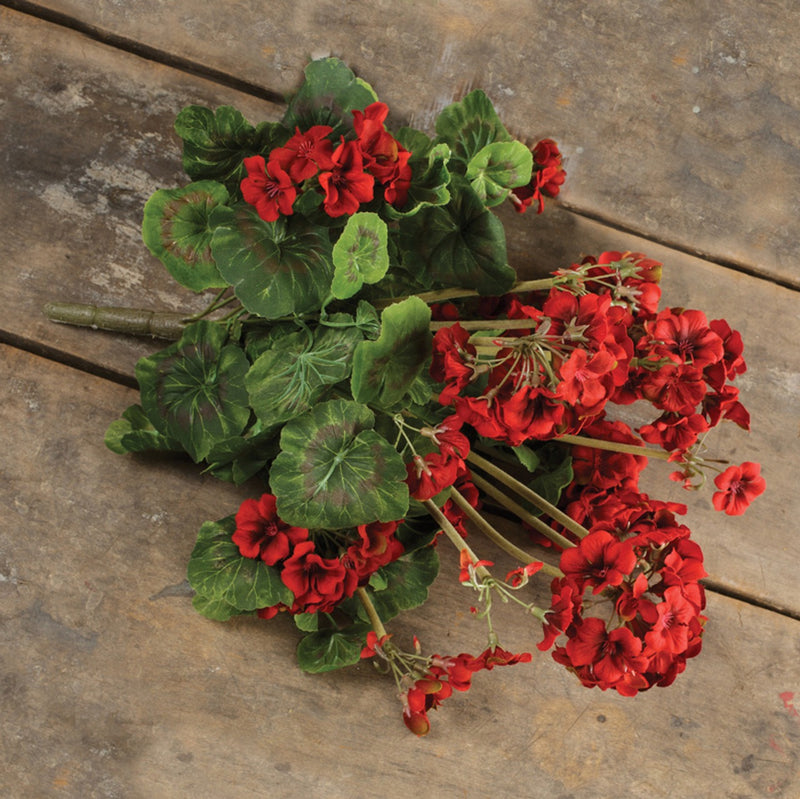 Red Geranium Bush