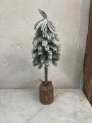 Faux Fir Tree w/ Wood & Moss Base, Snow/Frost Finish, Green (10.25")