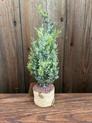 Faux Cedar/Pine Tree w/ Faux Wood Base, Snow/Frost Finish, 4 Styles