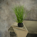 Wild Onion Grass Bulb 10”