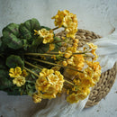 Yellow Geranium Bush
