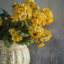 Yellow Geranium Bush