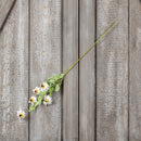 Daisy Spray 31"