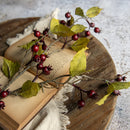 BURGUNDY ROSE HIPS SPRAY 31"