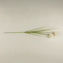CREAM DANDELION SPRAY