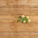 CREAM SNOWBALL SPRAY