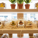 Giddy-Up Suds Handmade Novelty Soap Bar VEGAN COLD PROCESS