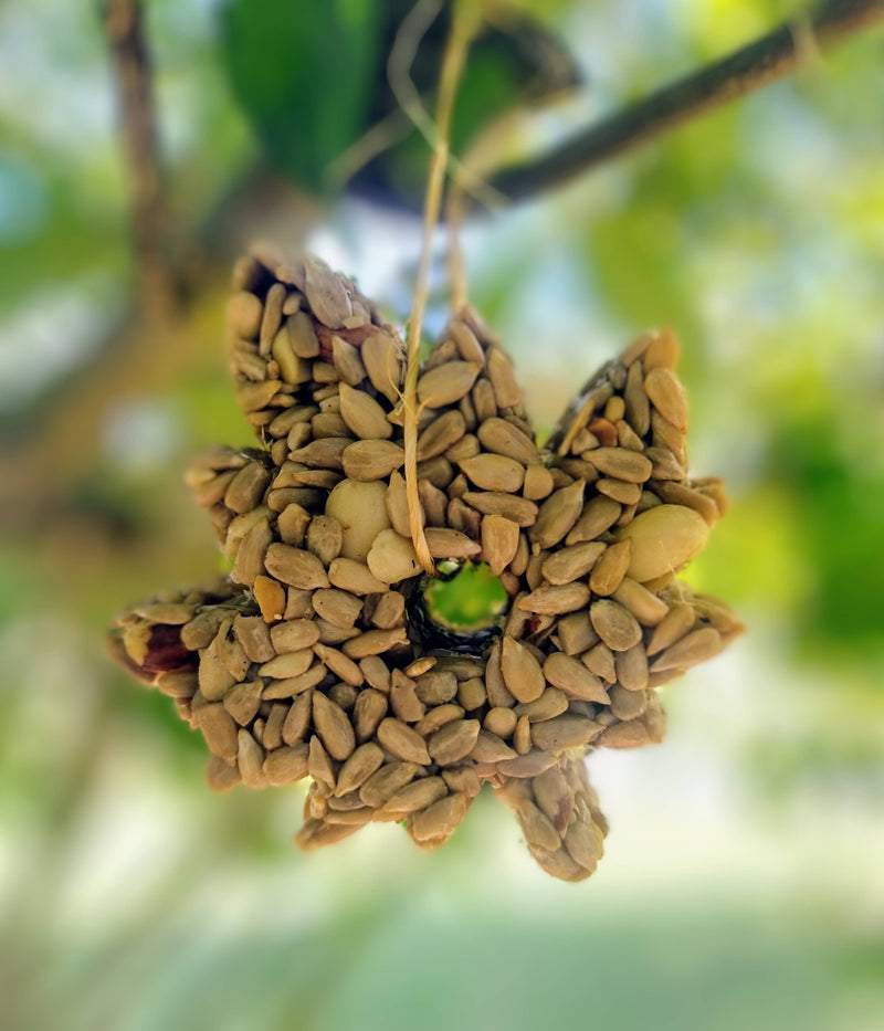 Maple Leaf Birdseed Ornaments