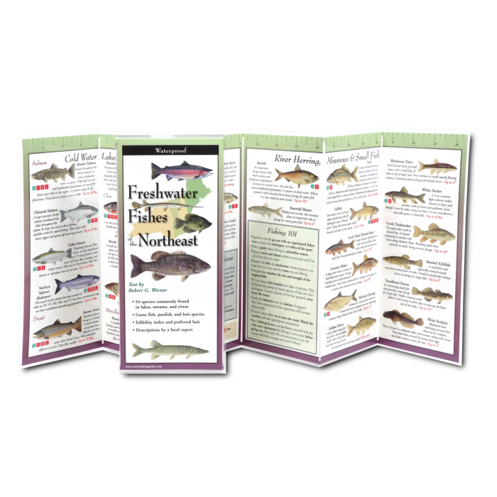 Freshwater Fishes of Northeast