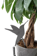 Happy Hummingbird Plant Stake