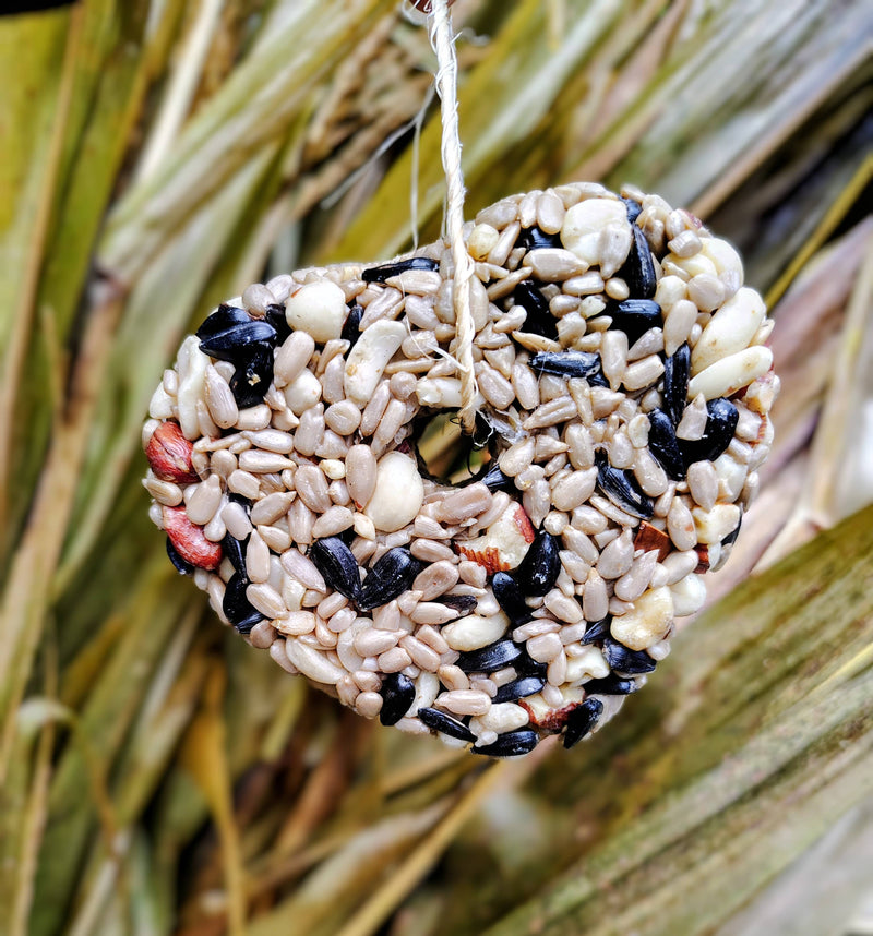 Heart Birdseed Ornament