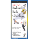 Sibley's Backyard Birds of the Northeast FoldingGuide