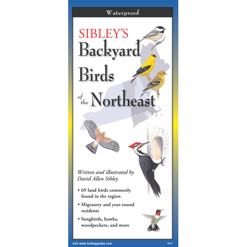 Sibley's Backyard Birds of the Northeast FoldingGuide