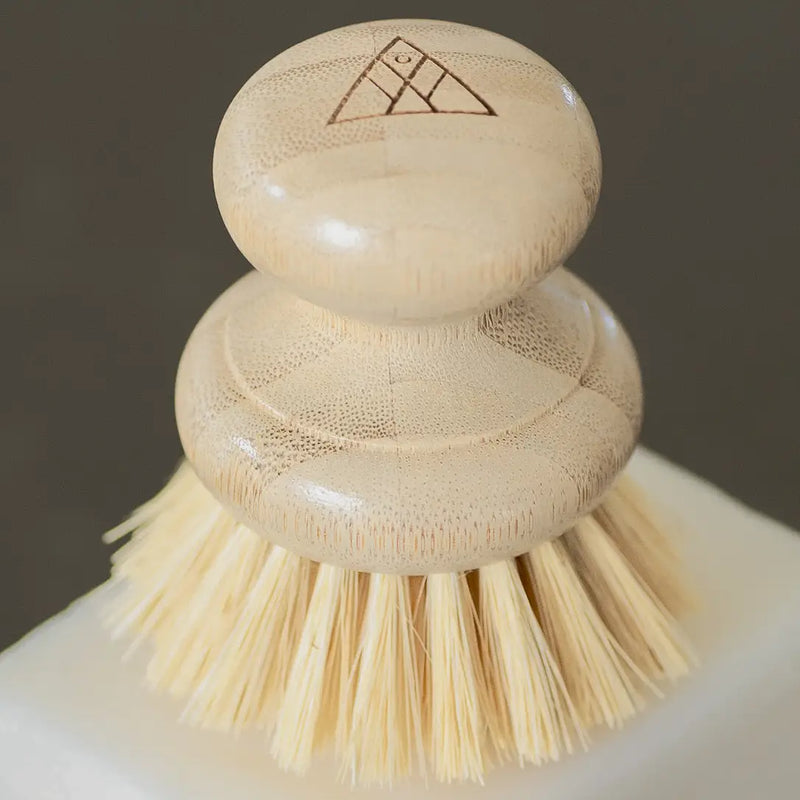 CASA AGAVE™ Dish Washing Brush