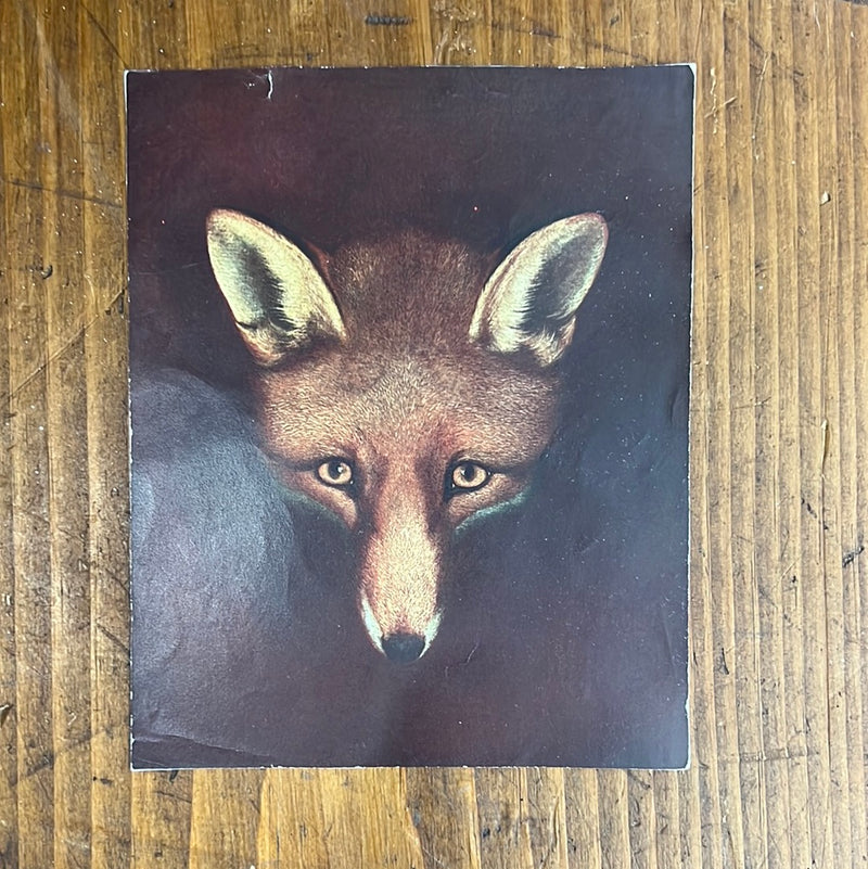 Vintage Printed in England The Fox