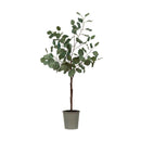 Faux Eucalyptus Tree in Pot
