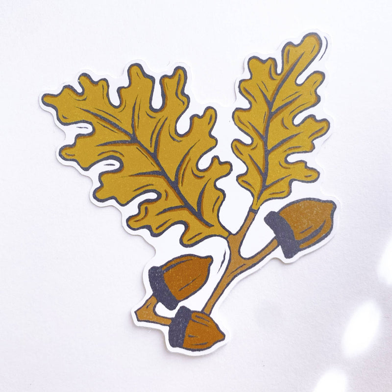 White Oak Acorn Paper Sticker