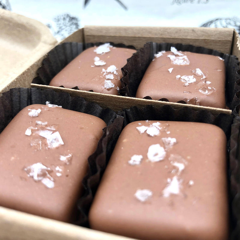 4 Piece Milk Chocolate Covered Salted Caramels