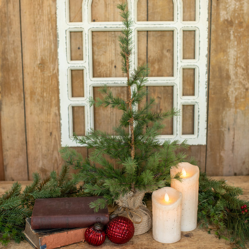 Pine Tree With Burlap Base 2 Feet