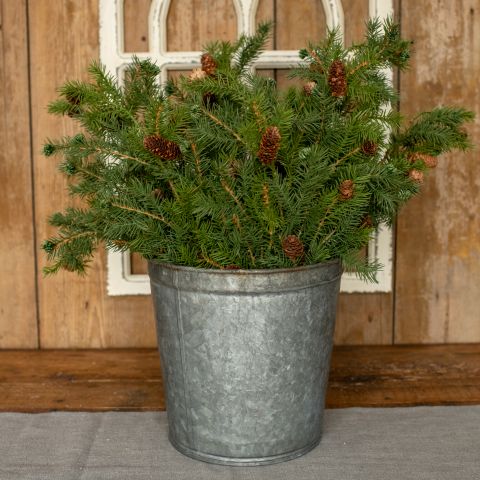 Angel Pine Spray with Cones - 25"